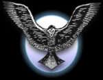 A raven in flight, wings displayed with a full moon behind